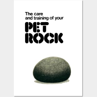 pet rock Posters and Art